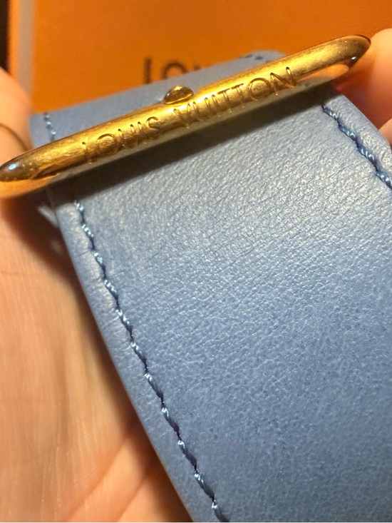 Louis Vuitton Denim Rush Bum Bag with Gold Hardware - Picture 8 of 15